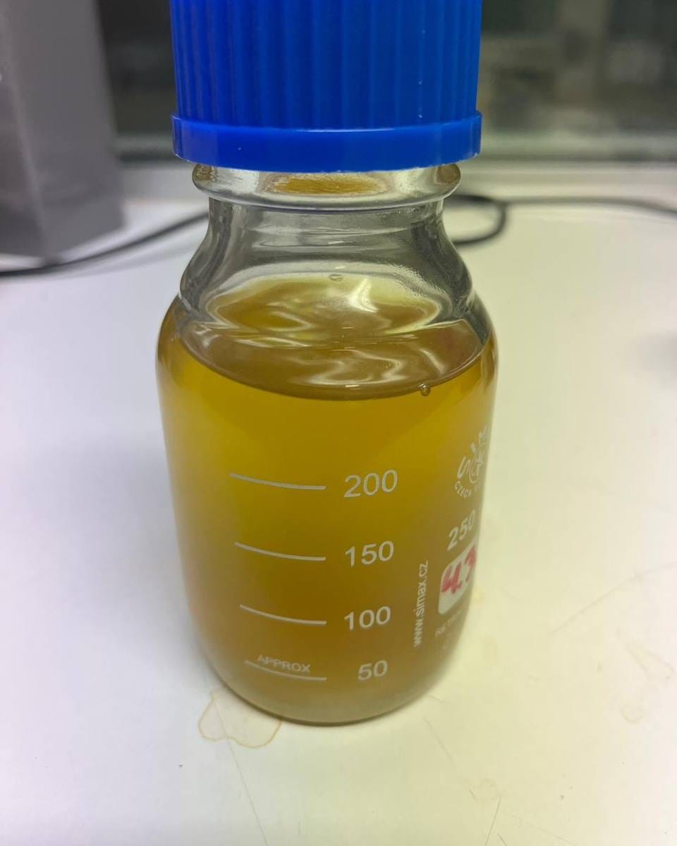 Campione di olio di pirolisi ottenuto dai rifiuti plastici, in bottiglia da laboratorio da 250 ml.